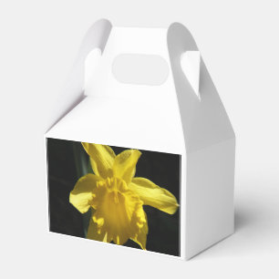 Perfekt påsklilja presentaskar