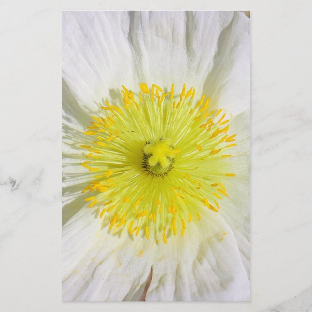 Perfekt Poppy Brevpapper (Framsida)