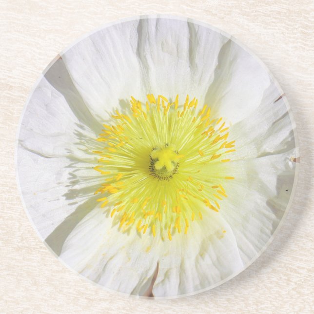 Perfekt Poppy Underlägg (Framsidan)