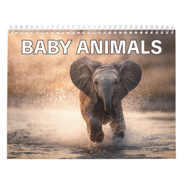 Perfekt present för djurälskare | Baby djur vägg Kalender (Omslag)