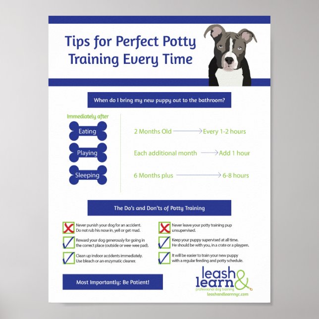 Perfekt Puppy Potty Training Poster (Framsidan)