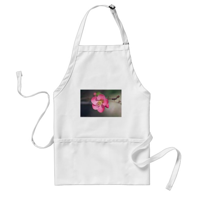 Perfekt Rosa Blommande Kvitten Förkläde (Framsidan)