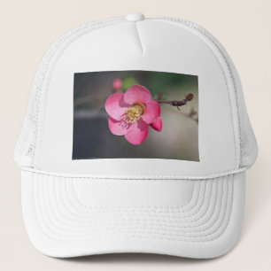 Perfekt Rosa Blommande Kvitten Truckerkeps