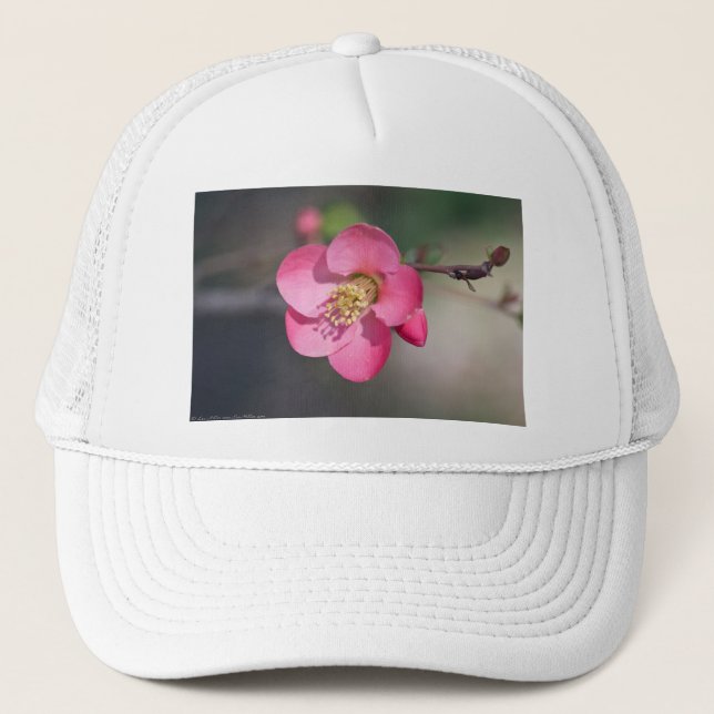 Perfekt Rosa Blommande Kvitten Truckerkeps (Framsida)