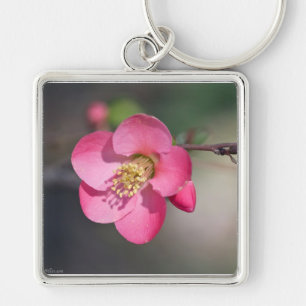 Perfekt Rosa Blommar Quince Fyrkantig Silverfärgad Nyckelring