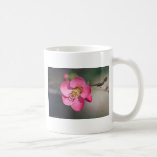 Perfekt Rosa Blommar Quince Kaffemugg