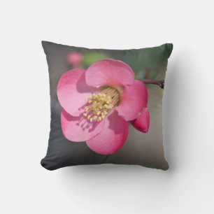 Perfekt Rosa Blommar Quince Kudde