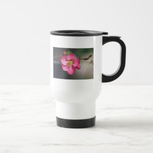 Perfekt Rosa Blommar Quince Resemugg
