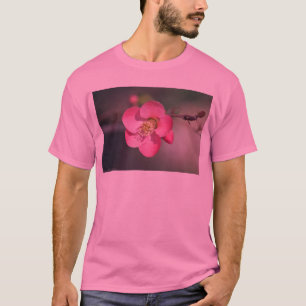 Perfekt Rosa Blommar Quince Tee