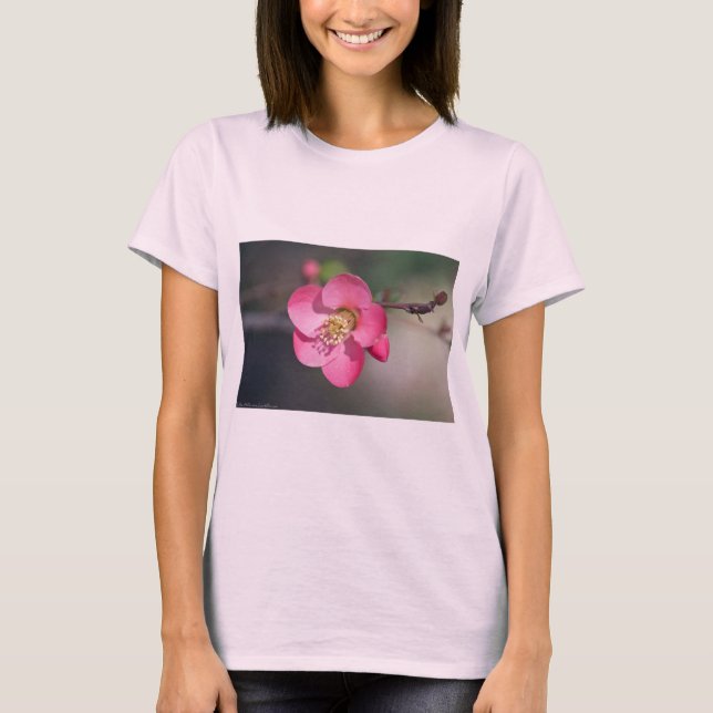 Perfekt Rosa Blommar Quince Tee Shirt (Framsida)
