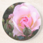 Perfekt rosa English Ro Underlägg<br><div class="desc">Den här vackra underlägg har en bild av en vacker färsk perfekt Engelska Ro som tagits i min trädgård. Det skulle vara en underbar gåva till en trädgårdsmästare eller blomma älskare i dam. Perfekten till Mor, Stormammor eller Moster som tycker om klassiskt stilar. Ett vackert drag för Mor-dagen och härligt...</div>