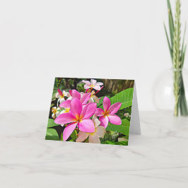 Perfekt rosa Plumeria noterar kort