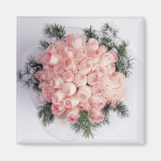 Perfekt Rosa ros Magnet (Framsidan)