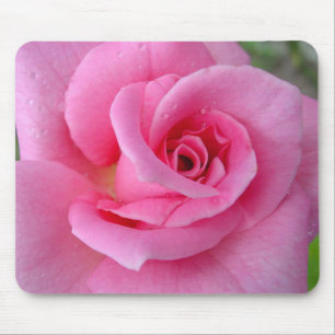 Perfekt rosa ros musmatta