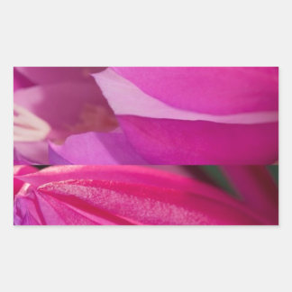 Perfekt Rosa Seduction: Romantic Flower Hearts Rektangulärt Klistermärke