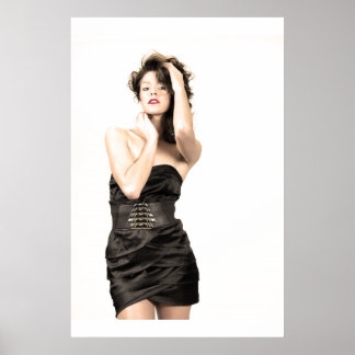 Perfekt Salon Poster