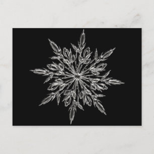 Perfekt Snowflake för julafton Helgdag Helg Vykort