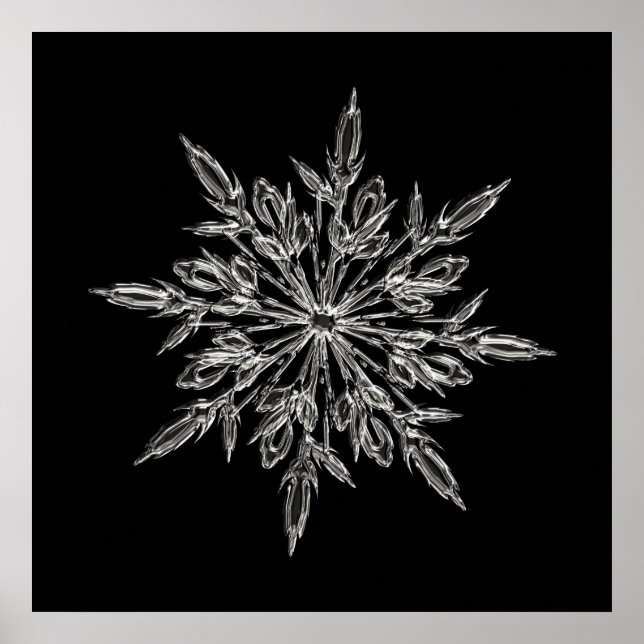 Perfekt Snowflake för julafton Helgdag Poster (Framsidan)