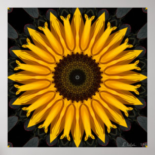 Perfekt Solros Poster