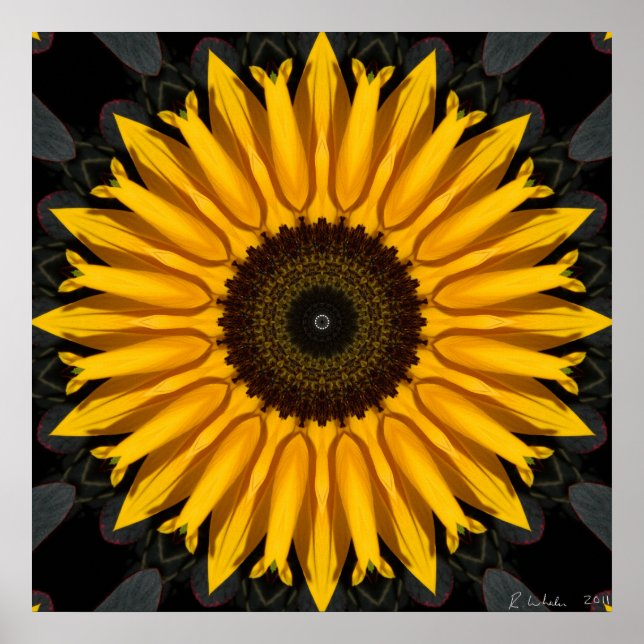 Perfekt Solros Poster (Framsidan)