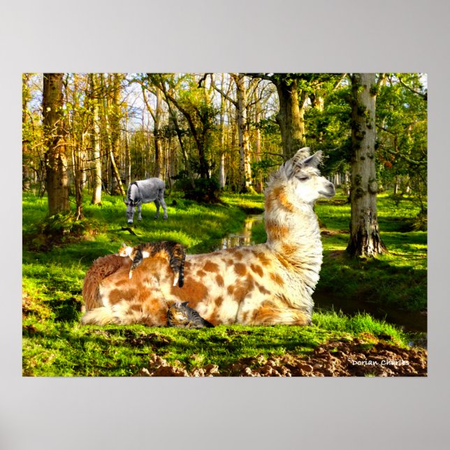 "Perfekt Söndag eftermiddag" Poster (Framsidan)