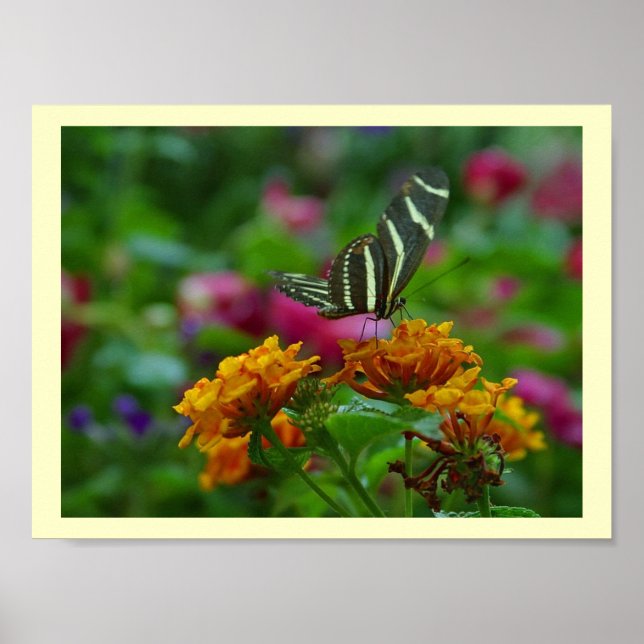 Perfekt Ställe! Poster (Framsidan)