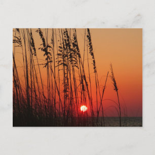 Perfekt Sunset Vykort