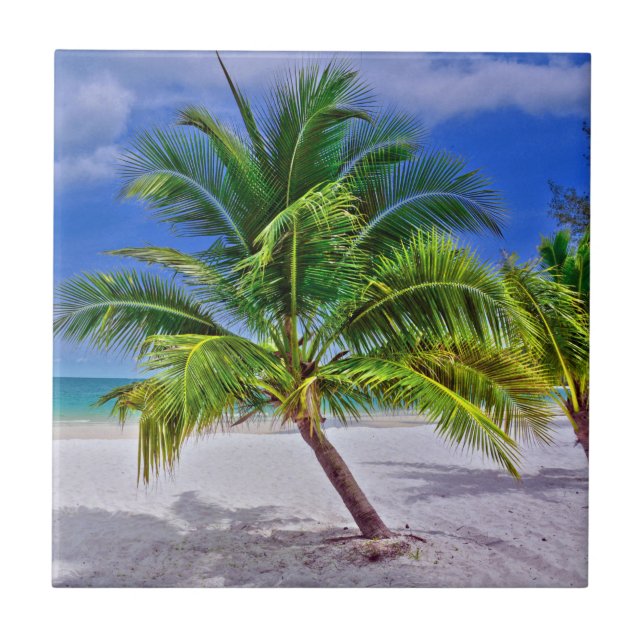 Perfekt Tropical Island Beach Kakelplatta (Framsidan)