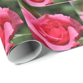 perfekt, underbar sommar het rosa ros blomma foto presentpapper