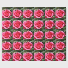 perfekt, underbar sommar het rosa ros blomma foto presentpapper