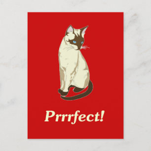 Perfekt! Vykort