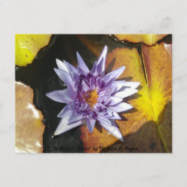 Perfekten Flower vycard Vykort