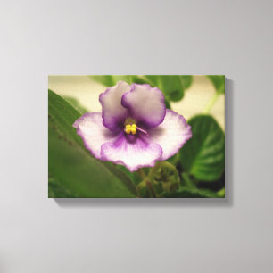 Perfekten Lily på Canvas