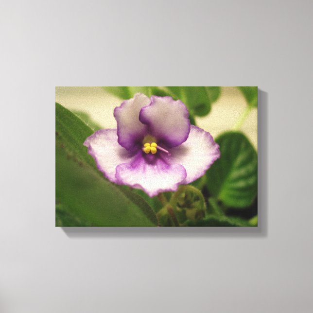 Perfekten Lily på Canvas (Framsida)