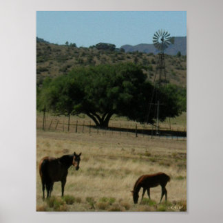 Perfekten Pastor Poster