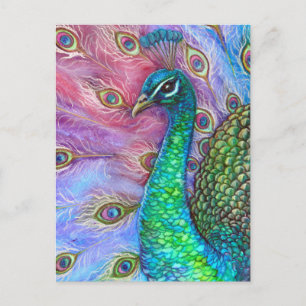 Perfekten Peacock. Vykort