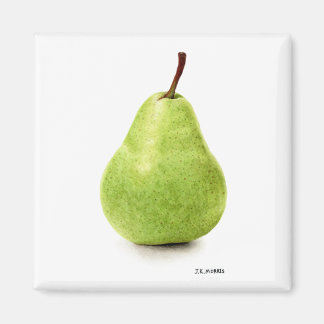 Perfekten Pear Magnet