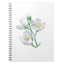 Perfektens assistent: Den bästa bärbara datorn för Anteckningsbok