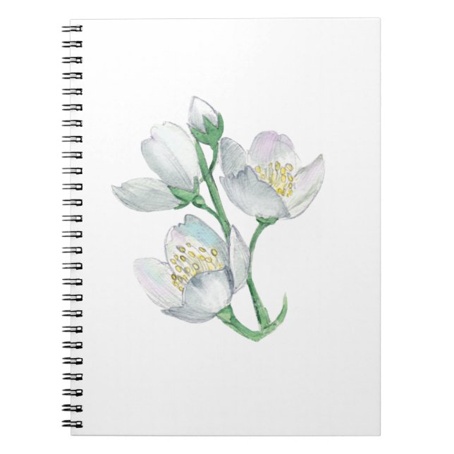 Perfektens assistent: Den bästa bärbara datorn för Anteckningsbok (Framsidan)