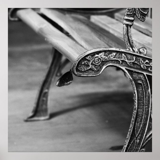 Perfektens återställningspunkt poster (Framsidan)