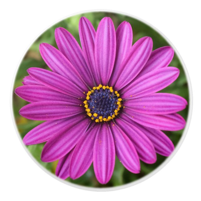 Perfektens Lila Flower Knopp (Framsidan)