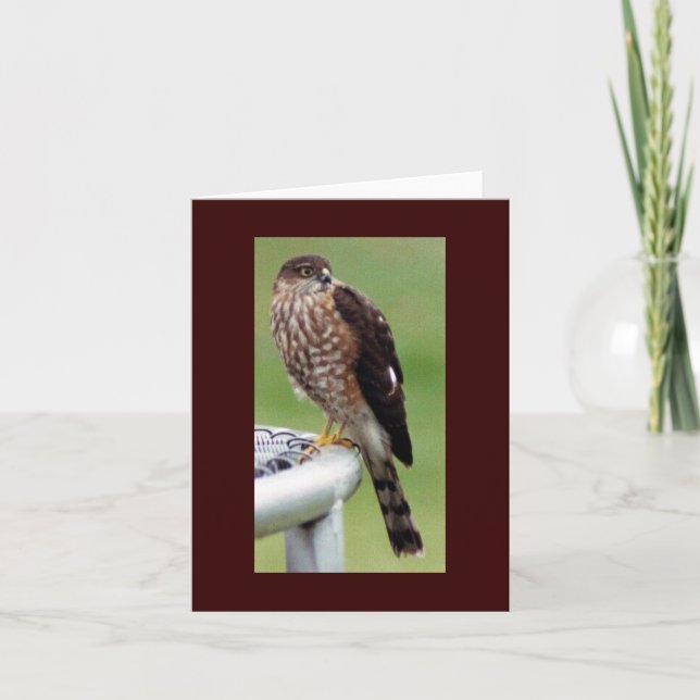 Perfektens profil kort (Framsida)