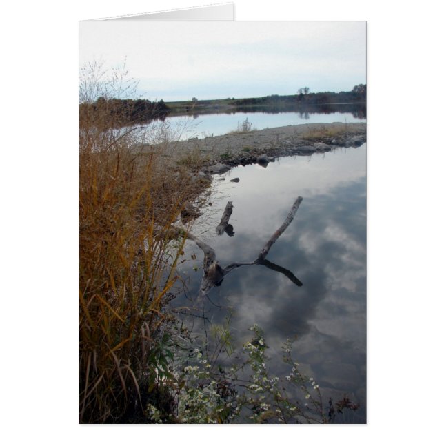 Perfektens reflektioner hälsningskort (Framsidan)