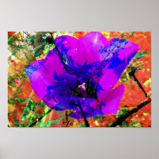 perfektens ursäkt poster