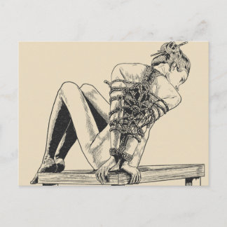 Perfektion - shibari-rep vykort