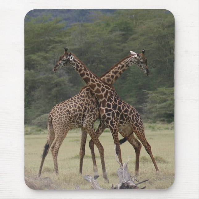 Perfektpartners - Mousepad Musmatta (Framsidan)