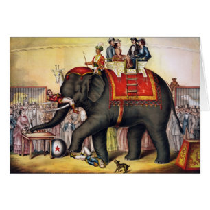 Performing Elephant Hälsningskort