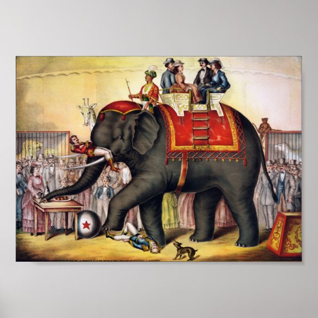 Performing Elephant Poster (Framsidan)