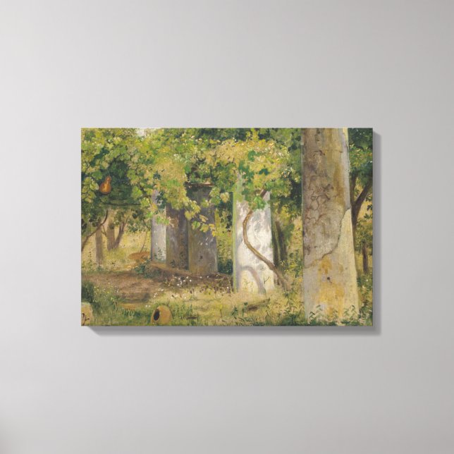 Pergola med druvor från Vin (vinodling i landskape Canvastryck (Framsida)