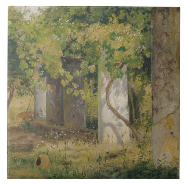 Pergola med druvor från Vin (vinodling i landskape Kakelplatta (Framsidan)